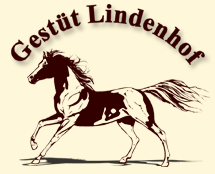 Gestüt Lindenhof - Zucht von Lewitzern und Araber-Pintos