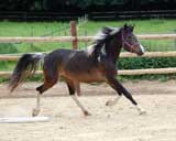 Juni 2008