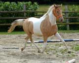Jamila PrSt