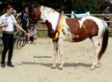 Ruby PrSt Landeschampion