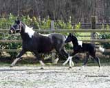 wenige Tage alt