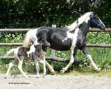 wenige Tage alt