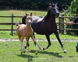 beim Musterungstermin