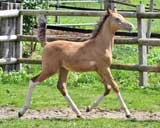 beim Musterungstermin