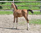 beim Musterungstermin