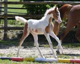 beim Musterungstermin