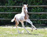 beim Musterungstermin