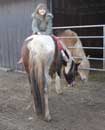 Erina