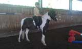 Sonnyboy ( Mogli) & Fam. Lutz, 72800 Eningen