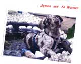 Symon & Familie Behme, Weilerswist