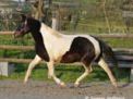 Pirouette